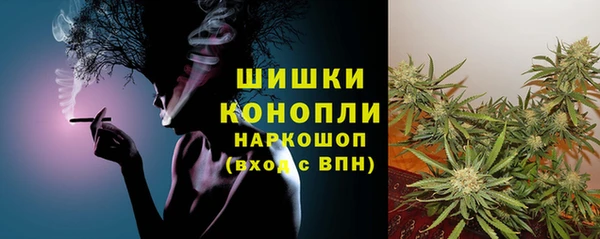 СК Корсаков