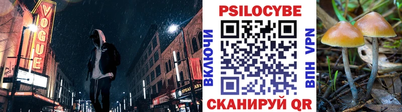 MEGA рабочий сайт  Норильск  Псилоцибиновые грибы мицелий 