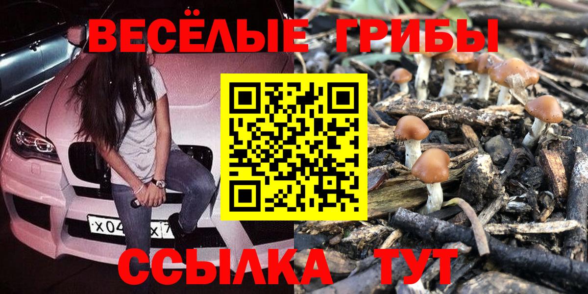 Псилоцибиновые грибы прущие грибы Норильск