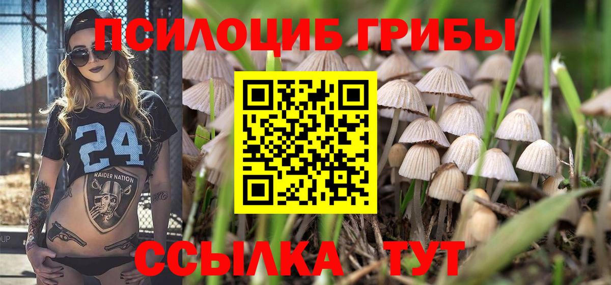 Псилоцибиновые грибы GOLDEN TEACHER  Вход с VPN  Норильск  Галлюциногенные грибы мухоморы 
